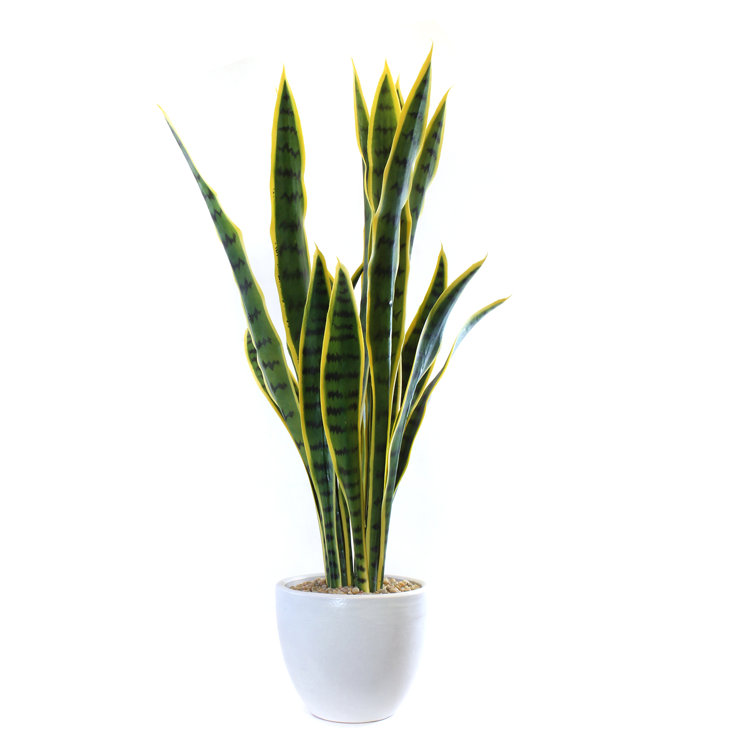 Wrought Studio Faux Snake Plant in Planter Wayfair